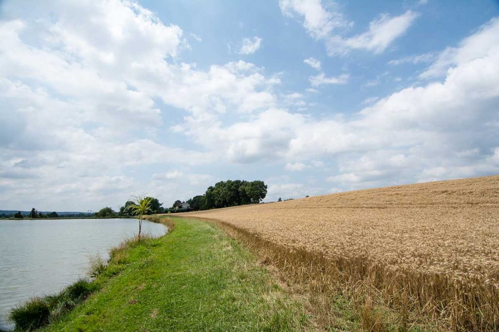 Gîte Le Pré du Roy - 81500 Giroussens - Le parc et les lacs