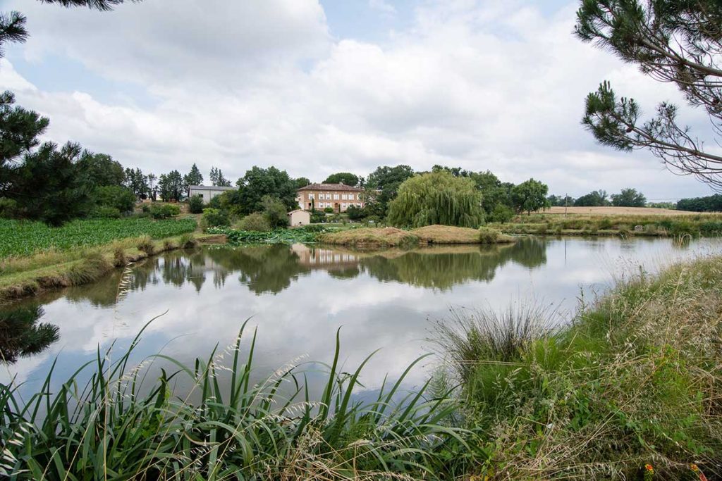 Gîte Le Pré du Roy - 81500 Giroussens - Le parc et les lacs