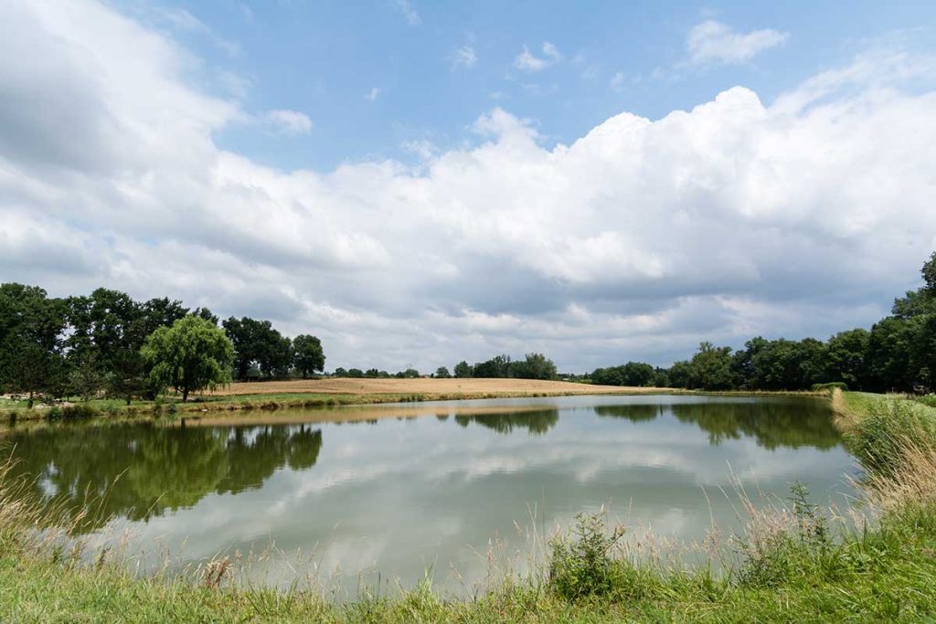 Gîte Le Pré du Roy - 81500 Giroussens - Le parc et les lacs