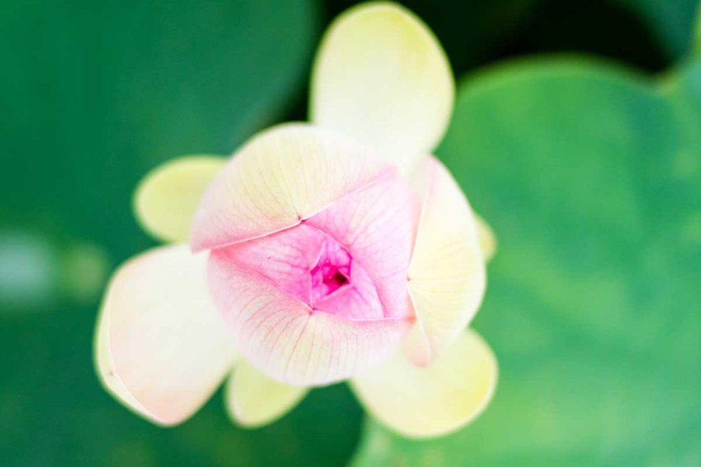 Gîte Le Pré du Roy - 81500 Giroussens - Le parc et les lacs